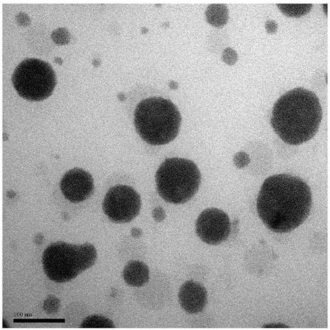 Amphiphilic polymer prodrug releasing original medicines through reduction response as well as preparation method and applications of amphiphilic polymer prodrug