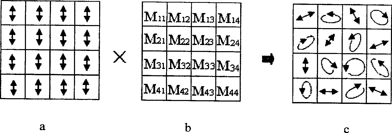 Encrypting method and device for real time optical image