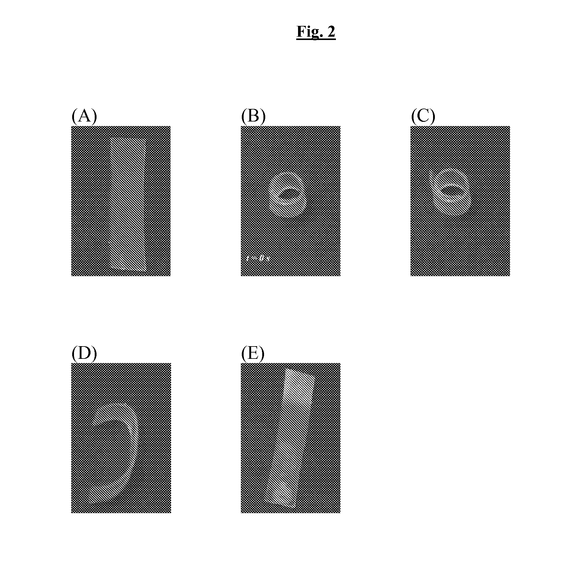 Dual-Cure Polymer Systems