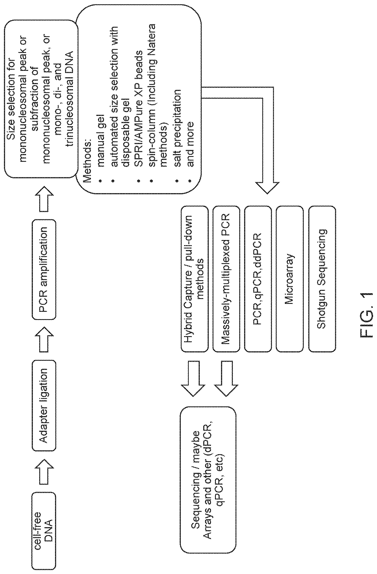 Improved liquid biopsy using size selection