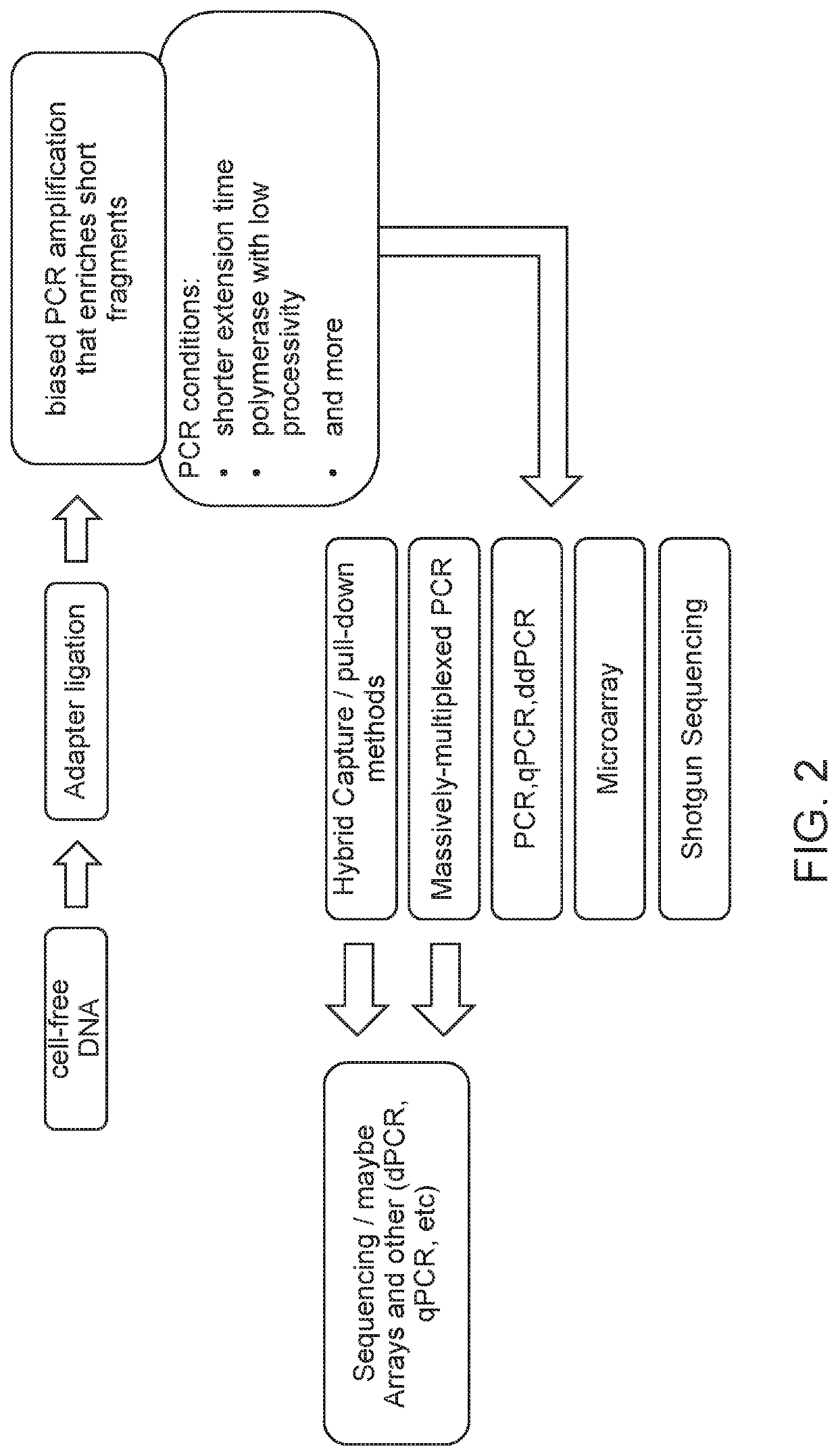 Improved liquid biopsy using size selection