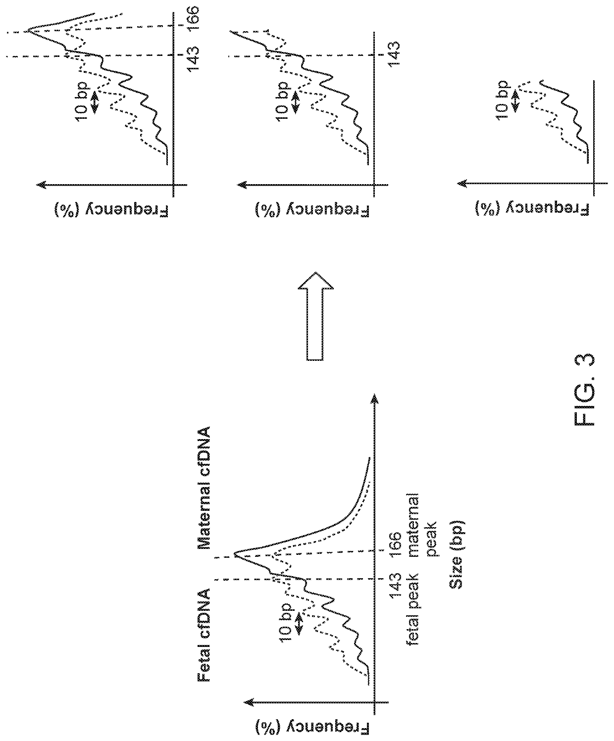 Improved liquid biopsy using size selection