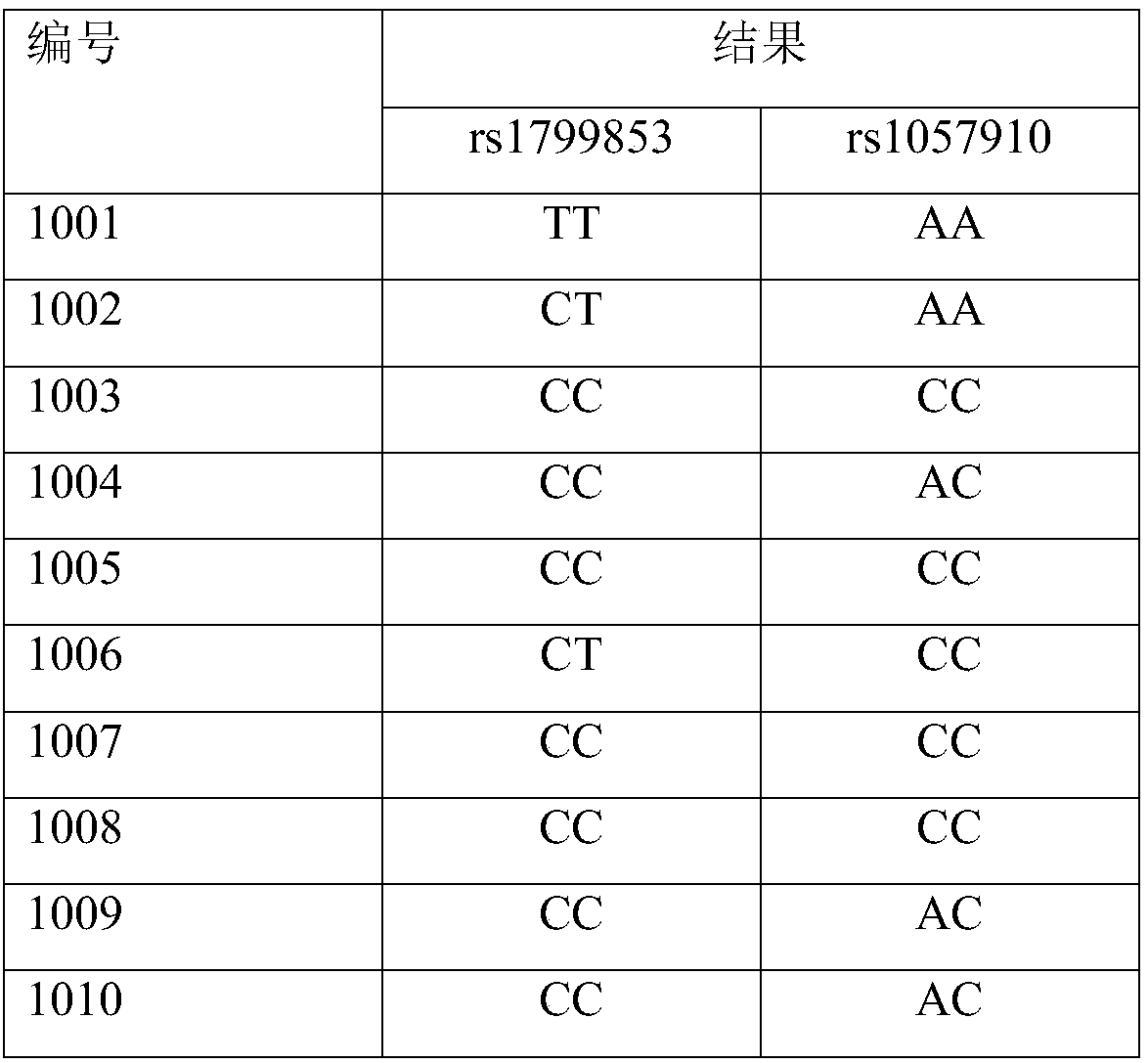 Reagent kit and method for using molecular beacon probe for detecting human CYP2C9 gene polymorphism and application thereof