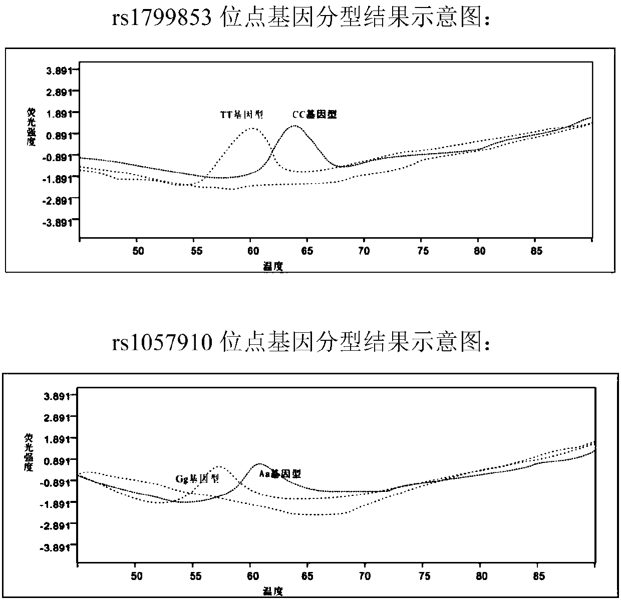 Reagent kit and method for using molecular beacon probe for detecting human CYP2C9 gene polymorphism and application thereof