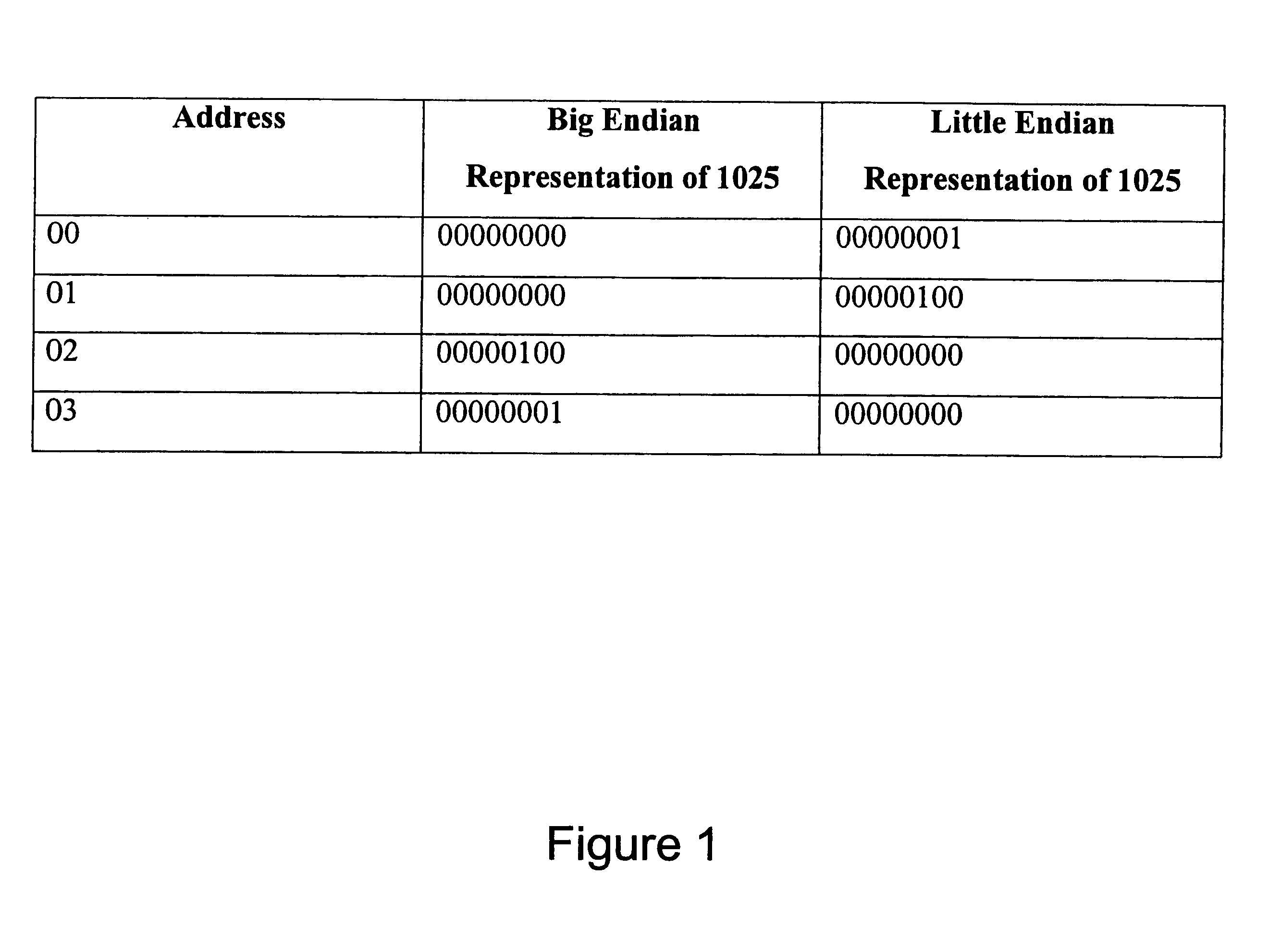 System and method for processing vectorized data