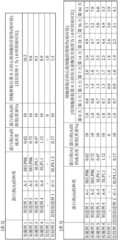 Composition for cell transplant, and method for cell transplant