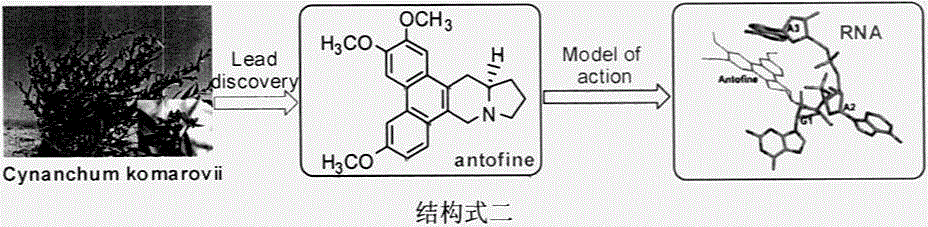 Phenanthrene-containing heterocycle compound and preparation method and application in resisting plant virus