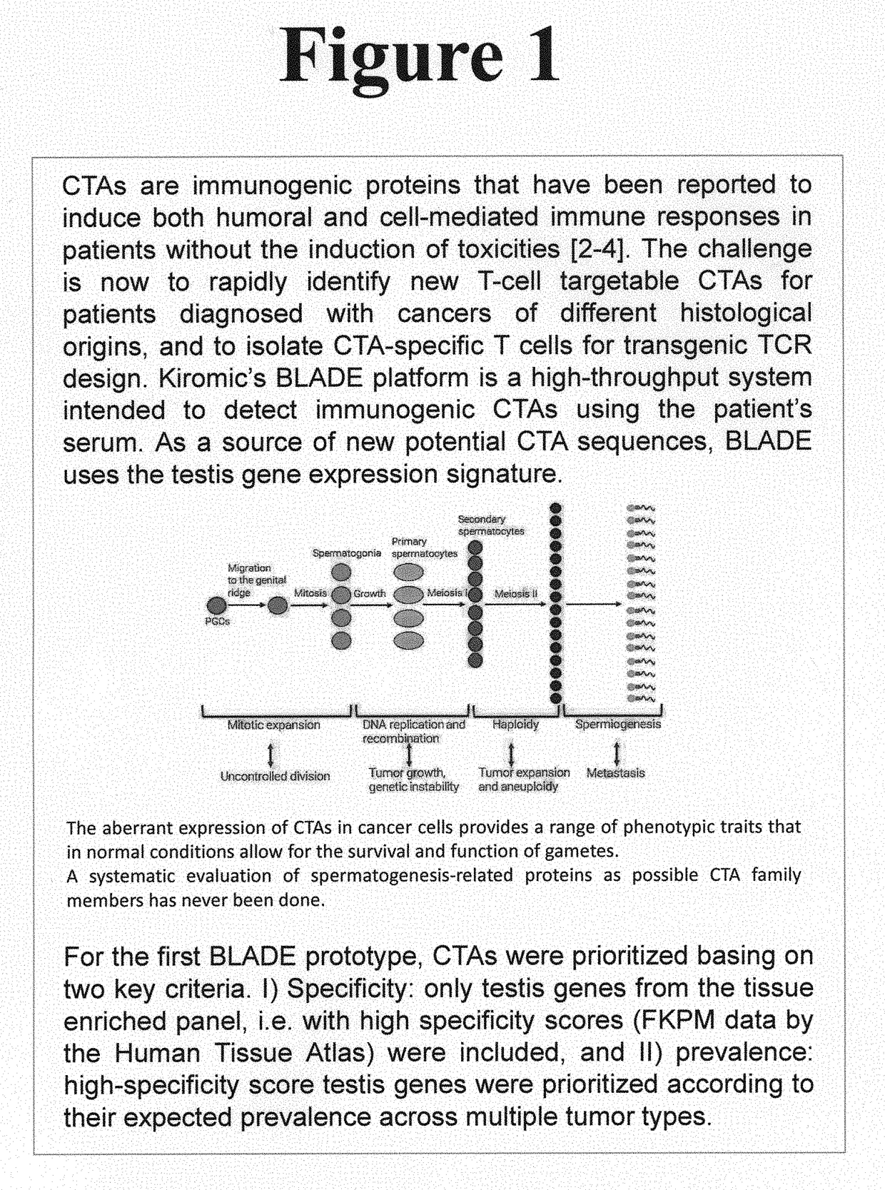 Platform for the identification of tumor-associated cancer/testes antigens