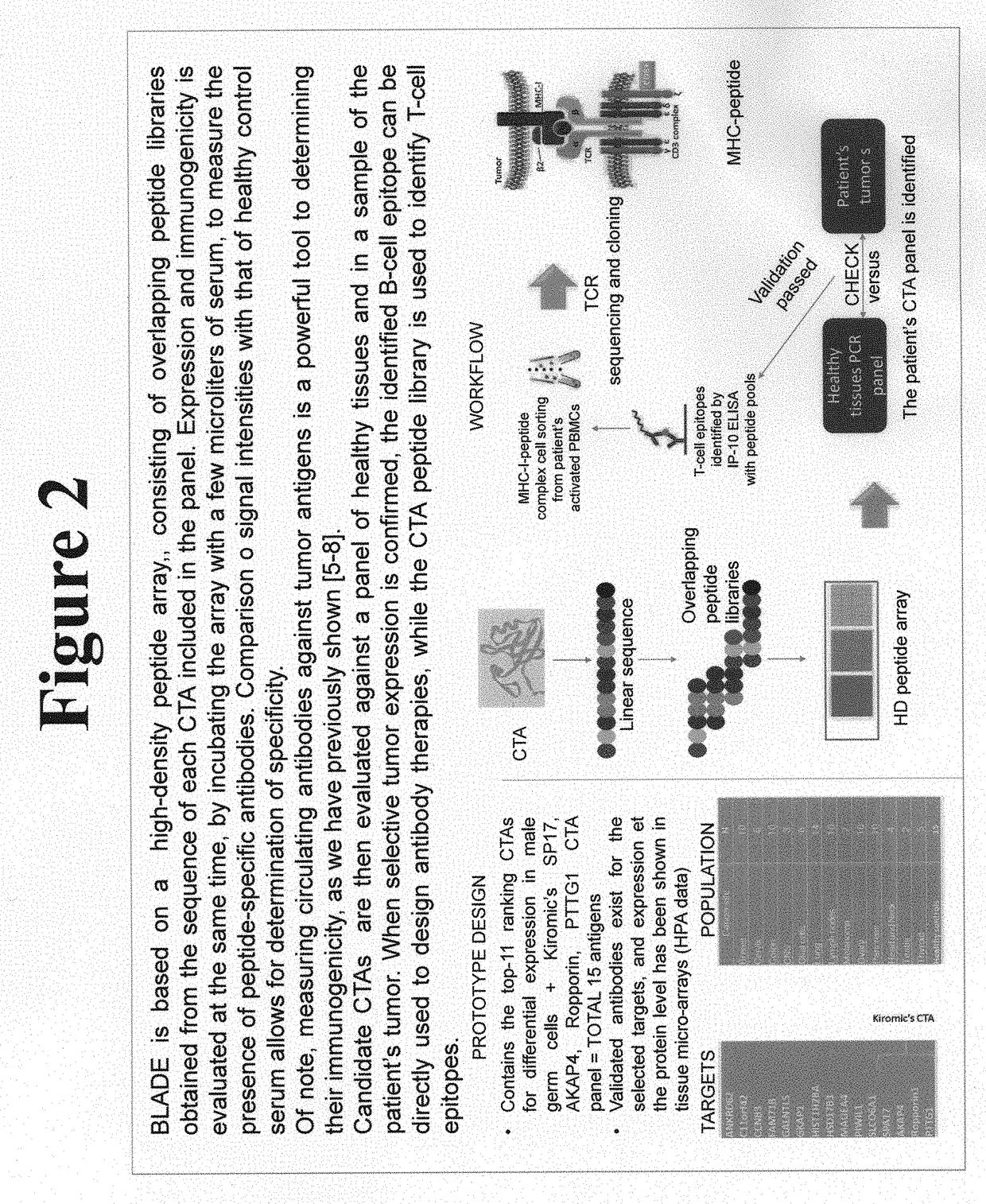 Platform for the identification of tumor-associated cancer/testes antigens