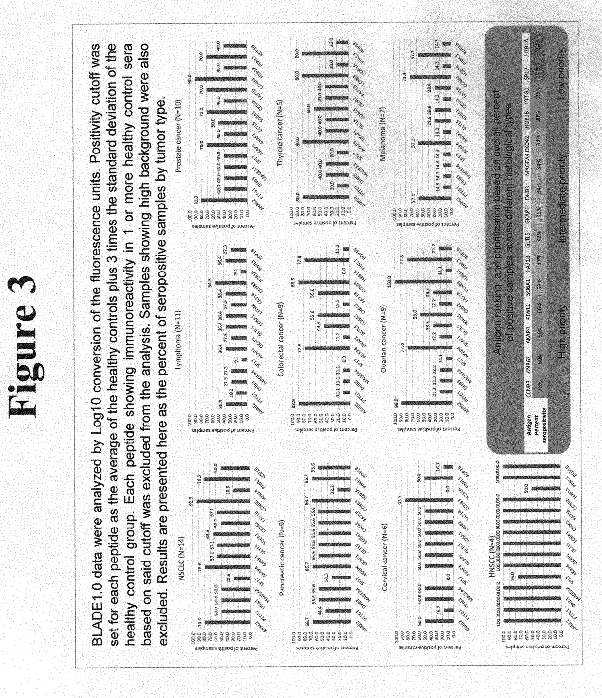 Platform for the identification of tumor-associated cancer/testes antigens