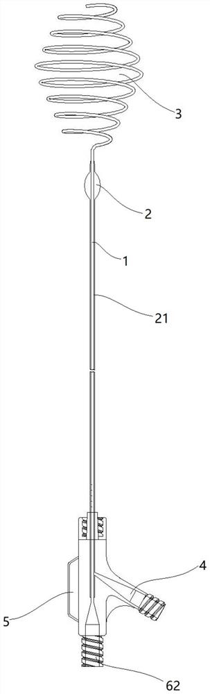 Atrial indwelling catheter capable of being developed under ultrasound