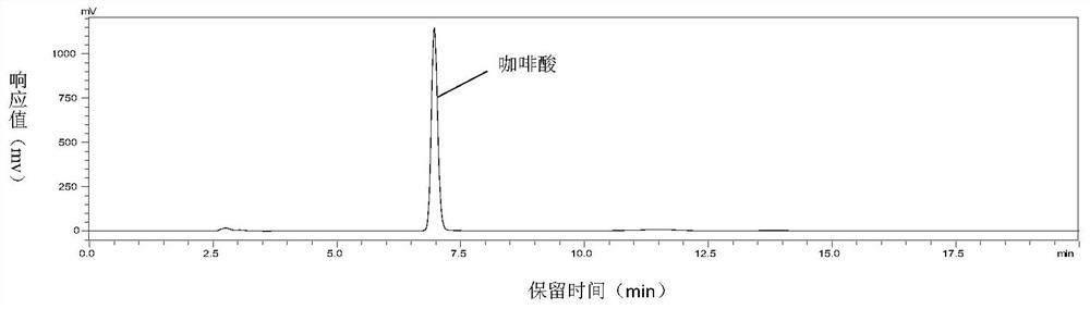 Method for simultaneously determining contents of chlorogenic acid, caffeic acid, ferulic acid and chicoric acid in chicory