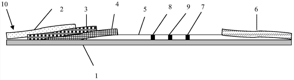 Test paper for procalcitonin and C reactive protein as well as preparation method and detection method thereof