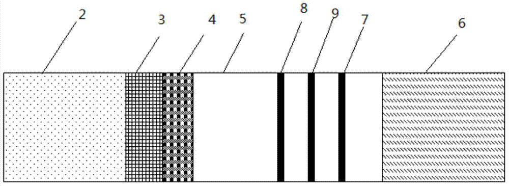 Test paper for procalcitonin and C reactive protein as well as preparation method and detection method thereof