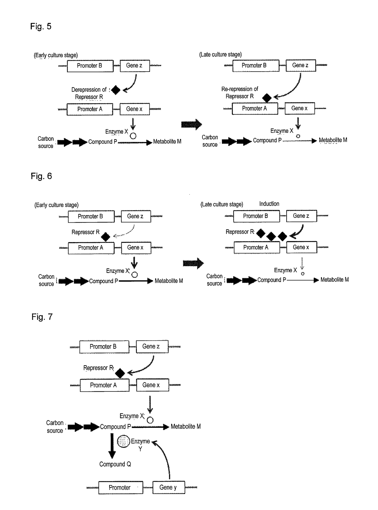 Useful microorganism and method for producing substance of interest