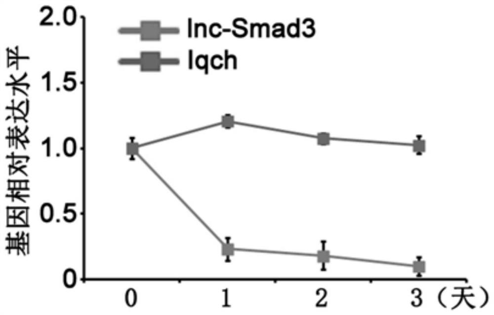 an initial state cd4  <sup>+</sup> Specific biomarkers for T cells and/or their differentiated regulatory T cells