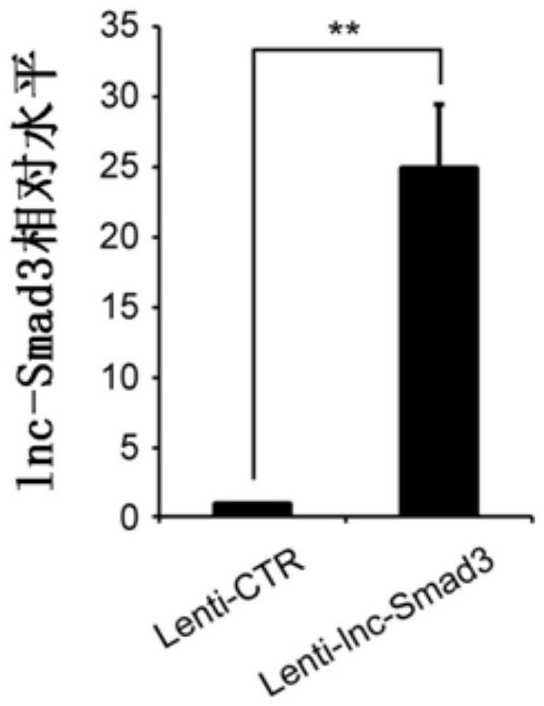 an initial state cd4  <sup>+</sup> Specific biomarkers for T cells and/or their differentiated regulatory T cells