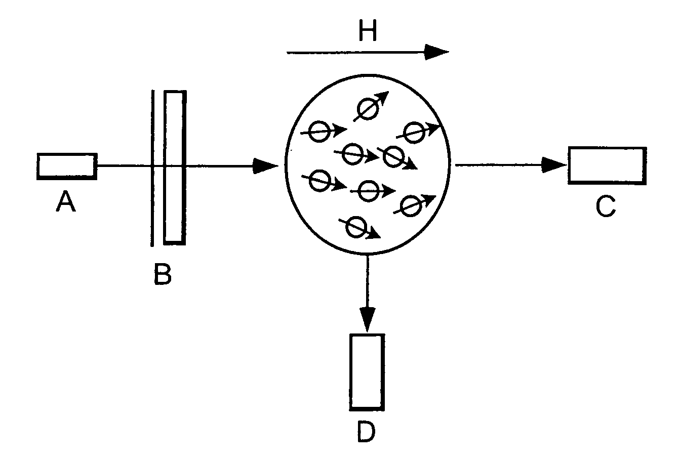 Detection with evanescent wave probe