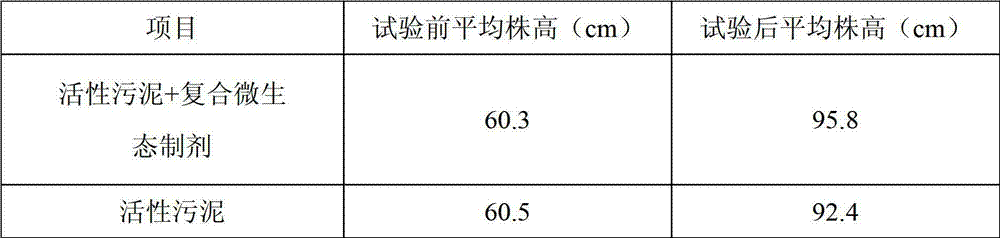 Cellulase production bacillus licheniformis with phosphate-solubilizing and potassium-releasing function and application of same