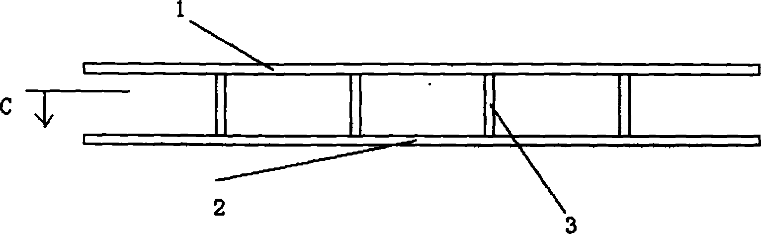 Field electron emission flat panel display supporting structure