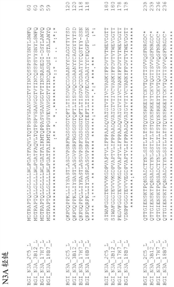 Massively parallel sequencing using unlabeled nucleotides