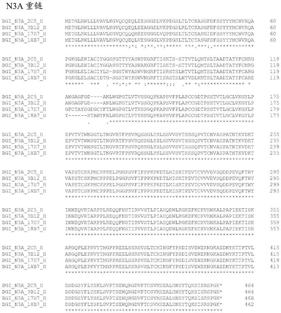 Massively parallel sequencing using unlabeled nucleotides