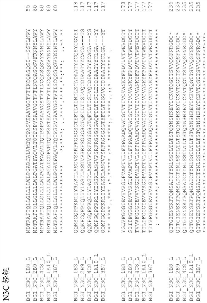 Massively parallel sequencing using unlabeled nucleotides