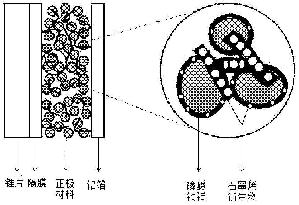 Graphene doped lithium iron phosphate positive electrode material and preparation method thereof