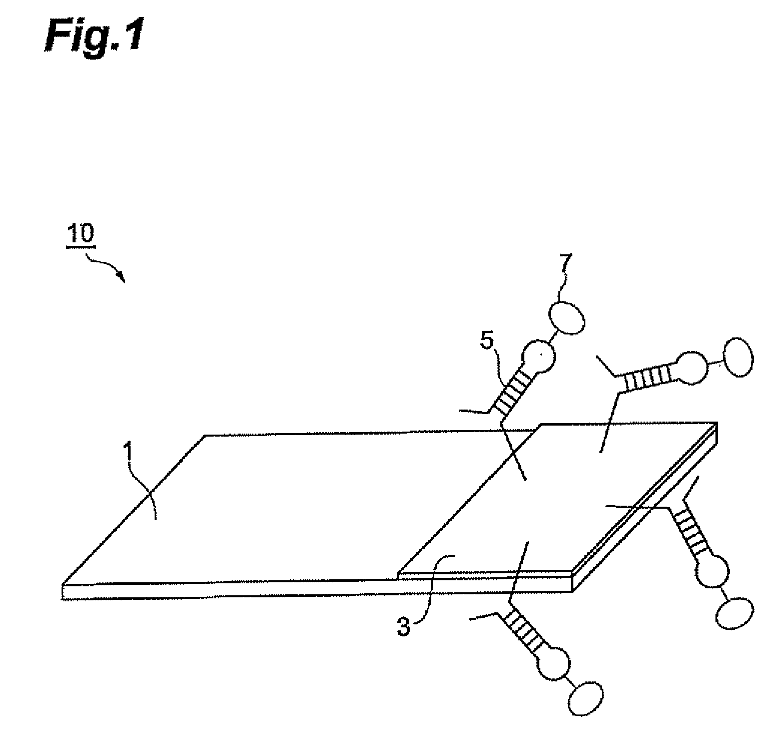 Biosensor