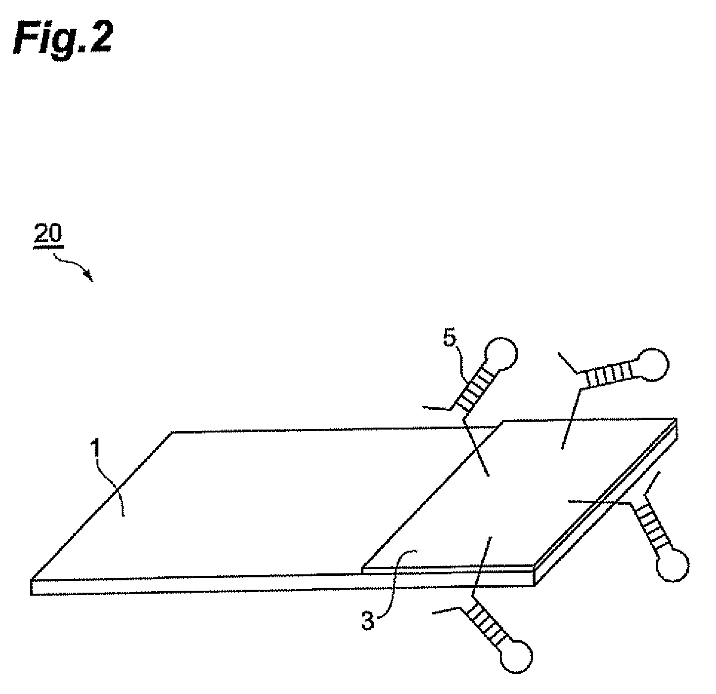 Biosensor