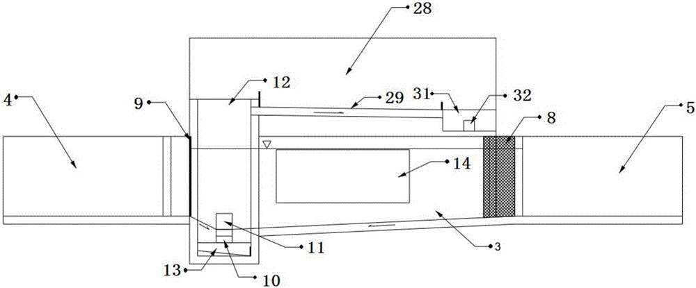 System and method for observing, collecting and sorting fishes passing through fishway