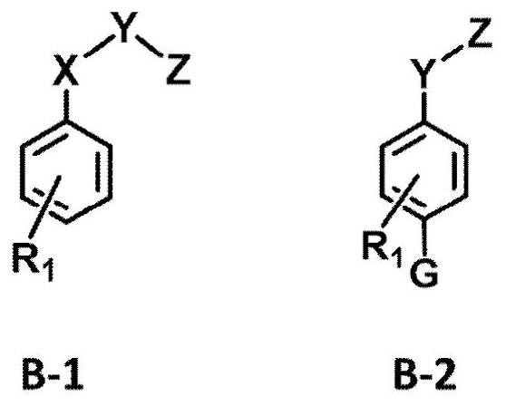 A highly adaptable viscosity-reducing polycarboxylate water reducer and its preparation method and application