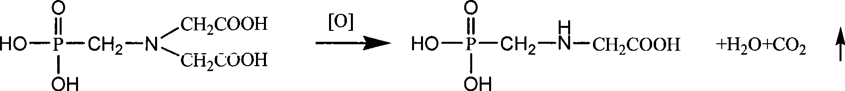 Production of iminodiacetic acid by microorganism catalytic processes and bacterial strain thereof