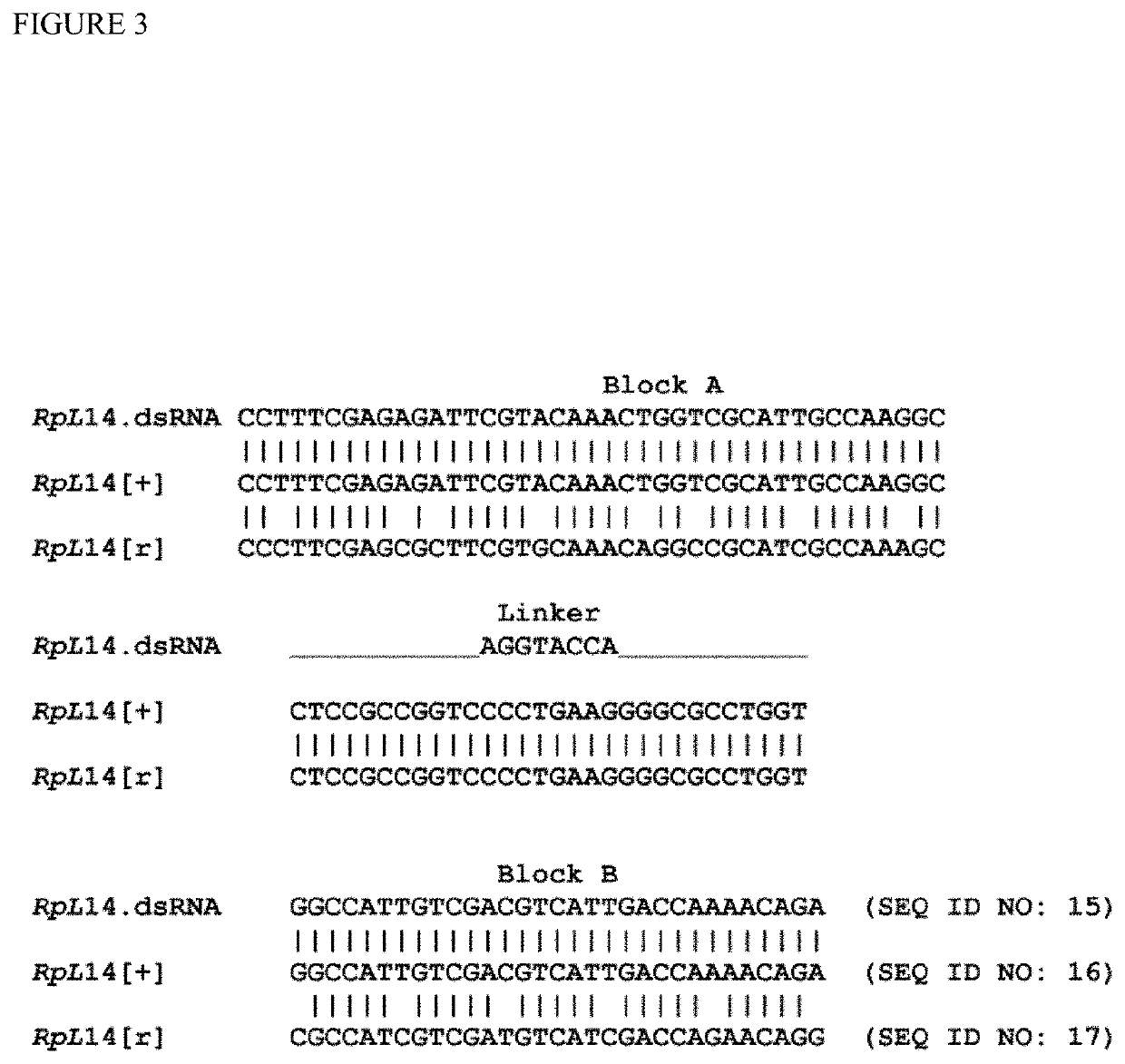 Stable transformation of a population and a method of biocontainment using haploinsufficiency and underdominance principles