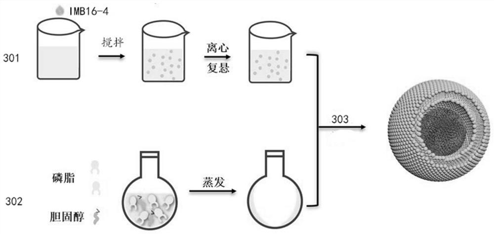 Preparation method of IMB16-4 liposome nanoparticles and medicine