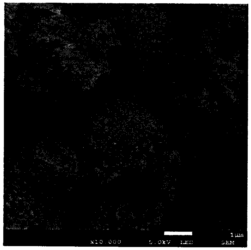 Preparation method of composite material capable of realizing high efficiency adsorption-photocatalysis degradation of antibiotics