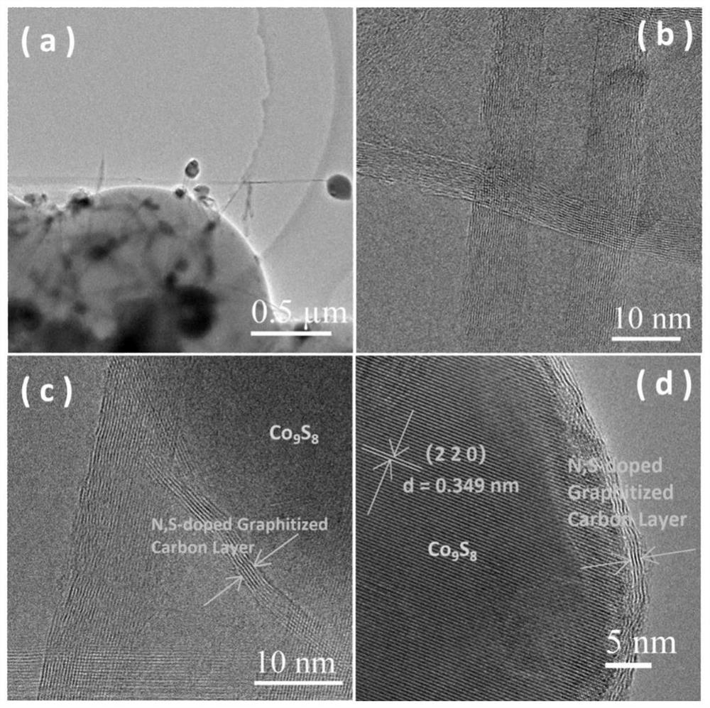 A kind of preparation method of nitrogen-sulfur co-doped carbon-coated transition metal nano-sulfide electrochemical oxygen catalyst