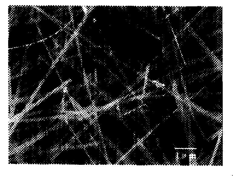 Fluorescent silicon nitride based nano thread and preparation thereof