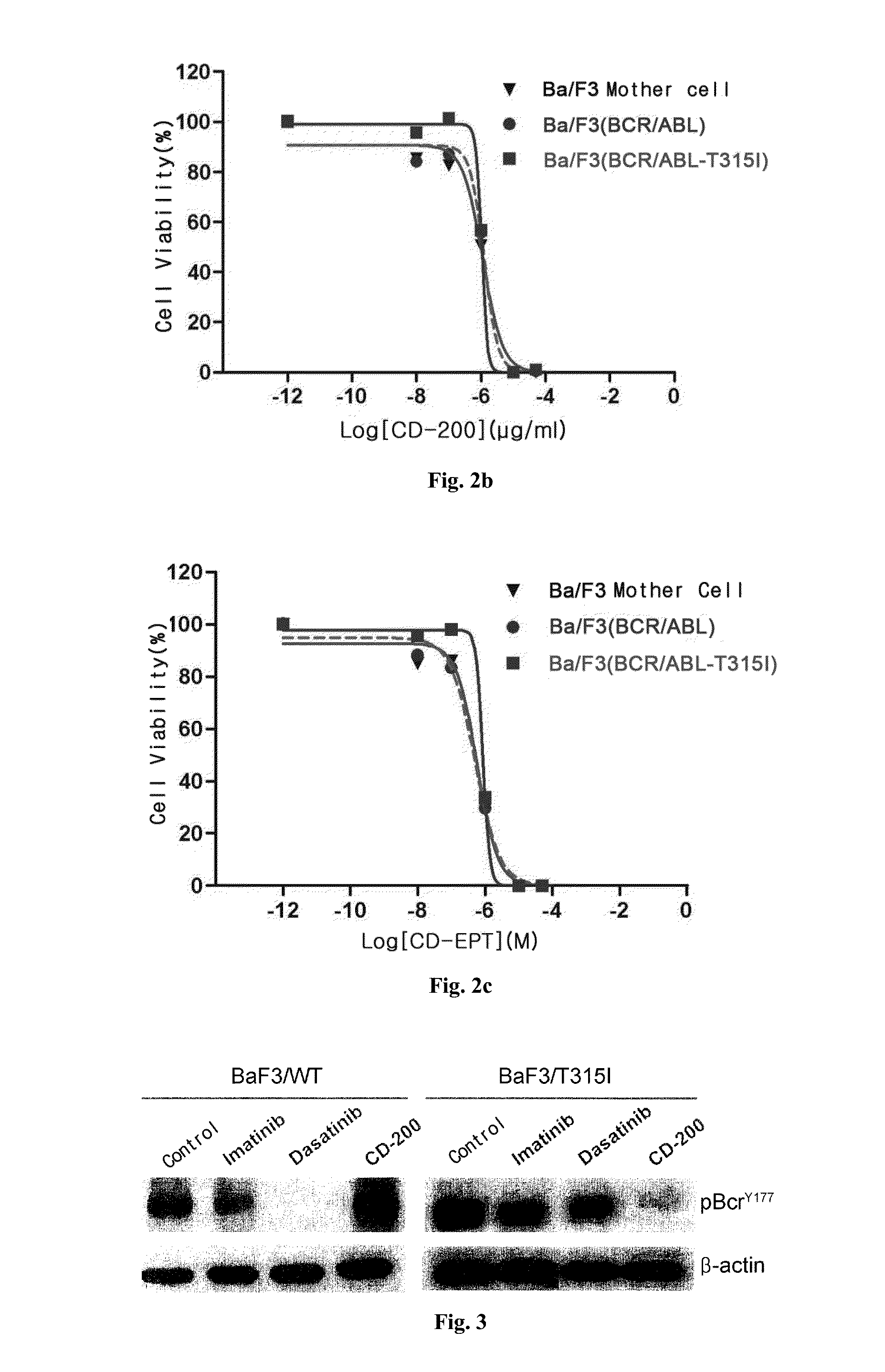 Pharmaceutical composition containing liriodendron tulipifera l. extract for treating chronic myelogenous leukemia