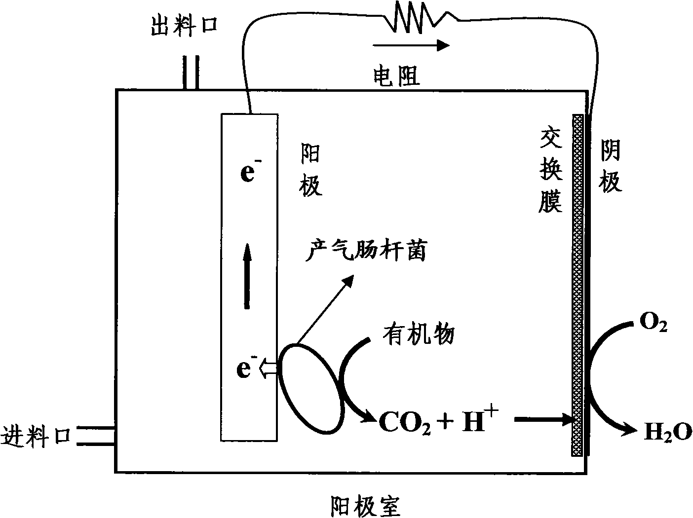 Application of enterobacter aerogenes in microbe power generation and its power generation method