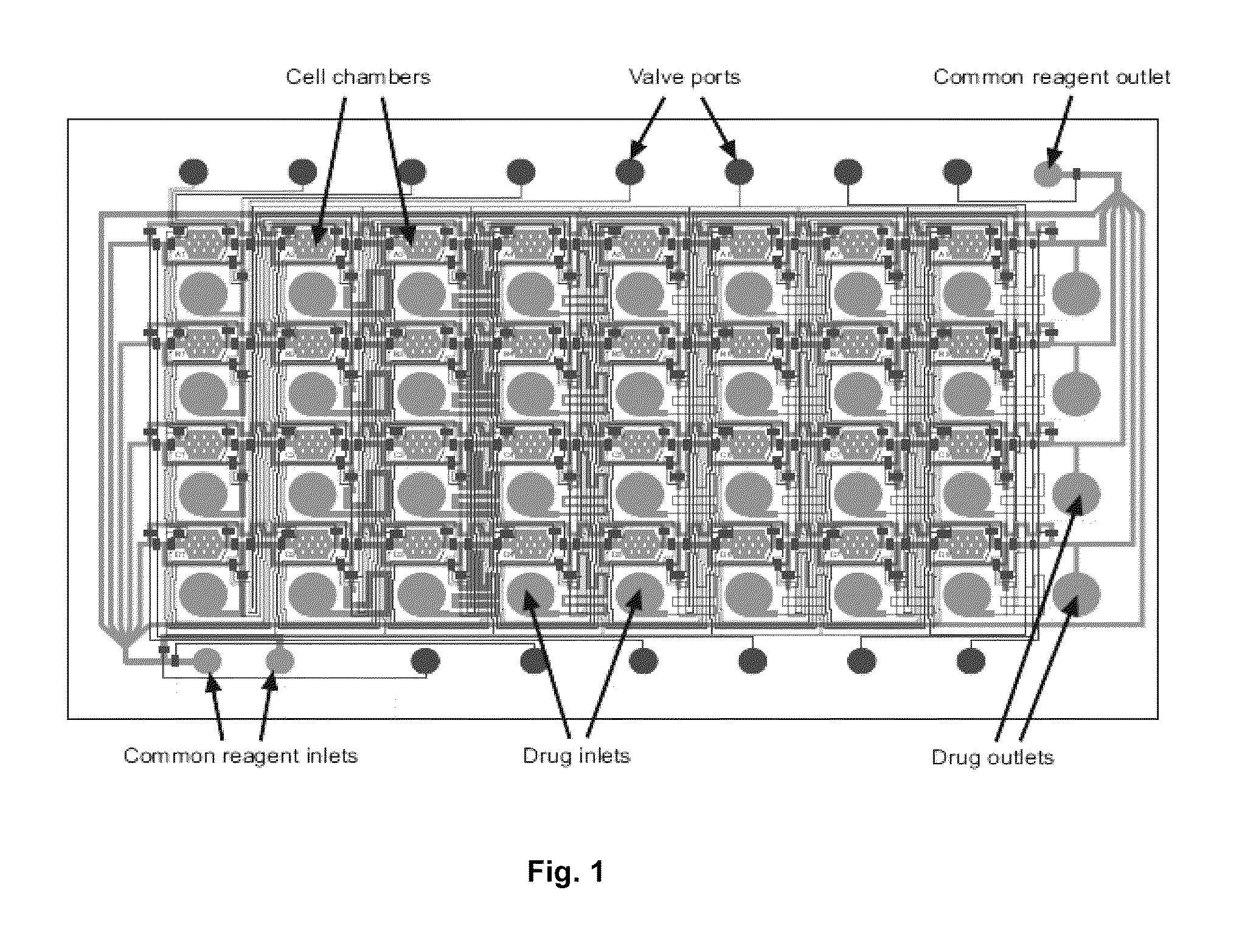 Microfluidic grid-based design for high throughput assays