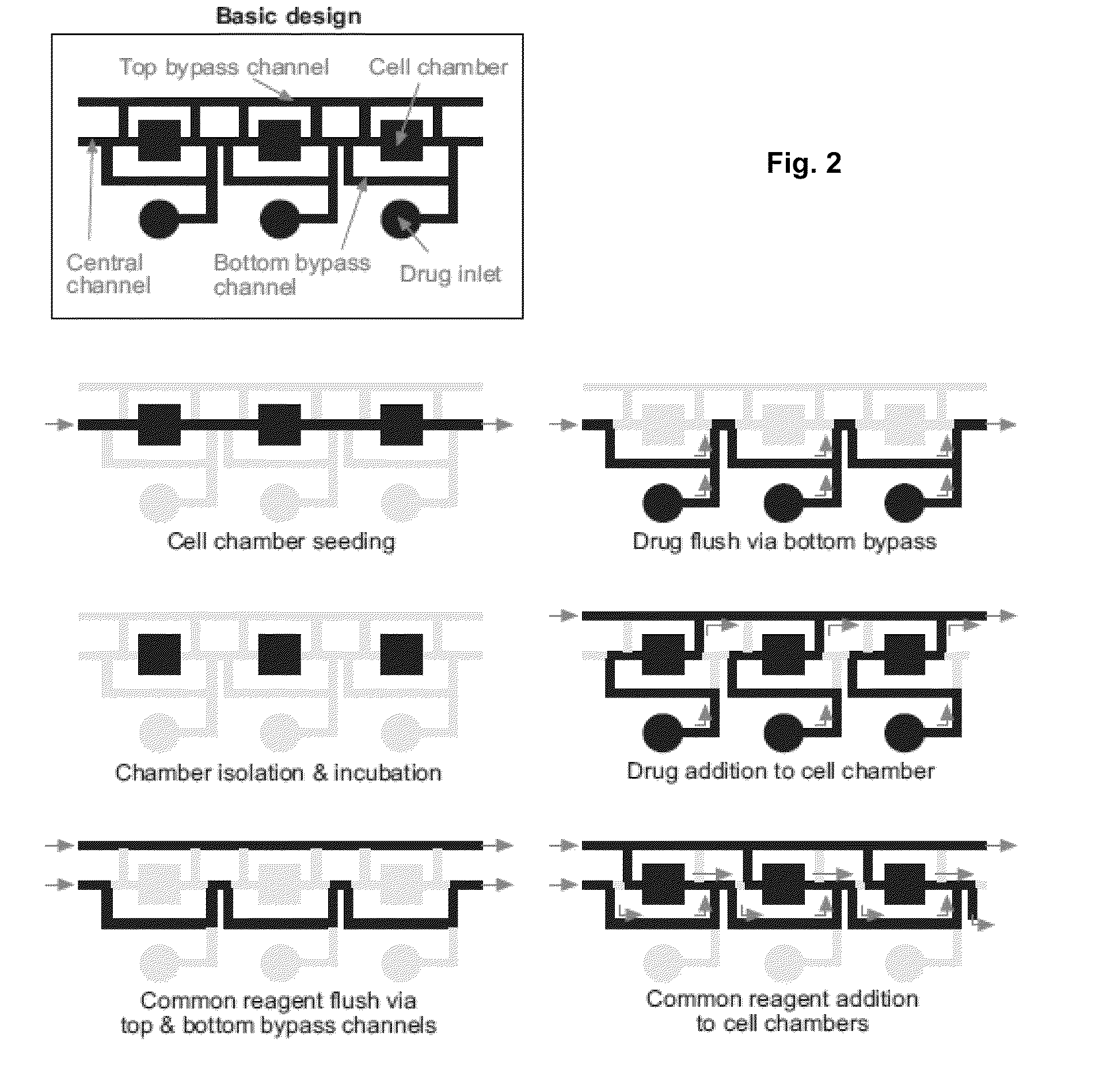 Microfluidic grid-based design for high throughput assays