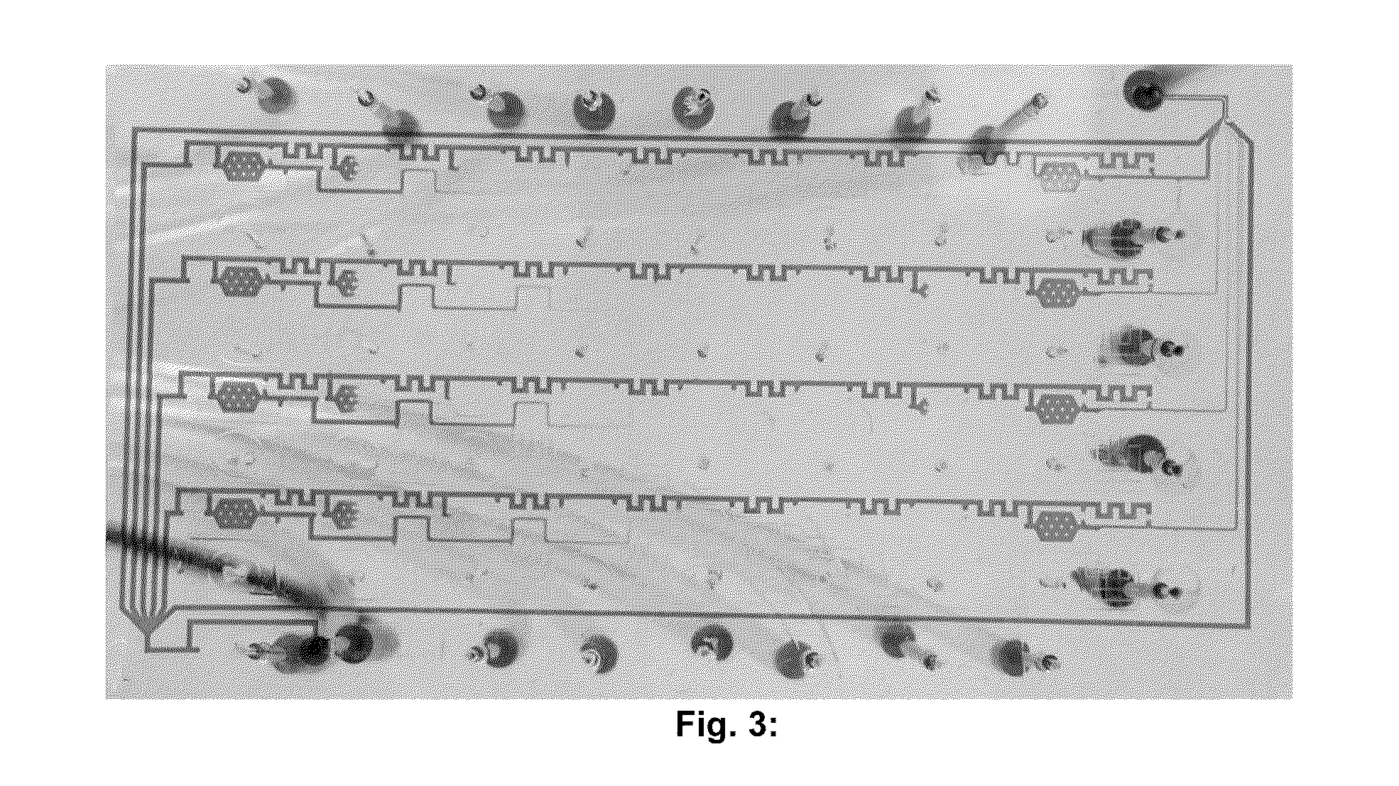 Microfluidic grid-based design for high throughput assays