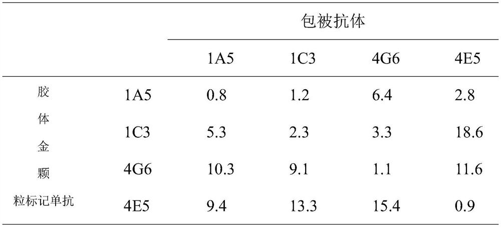 Preparation of hepatitis B surface antigen monoclonal antibody