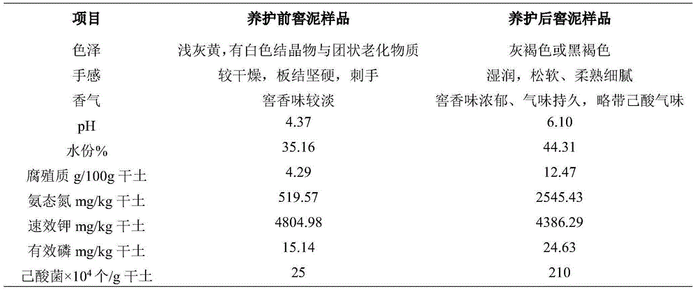 Method for maintaining cellar by washing with hot water