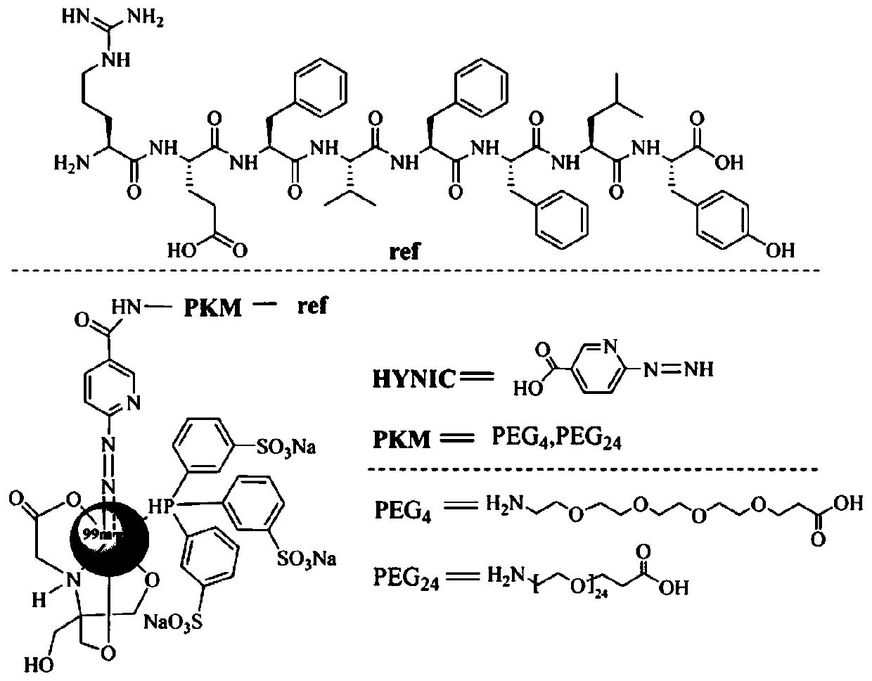 A D-type polypeptide radiopharmaceutical targeting HER2 and its preparation method