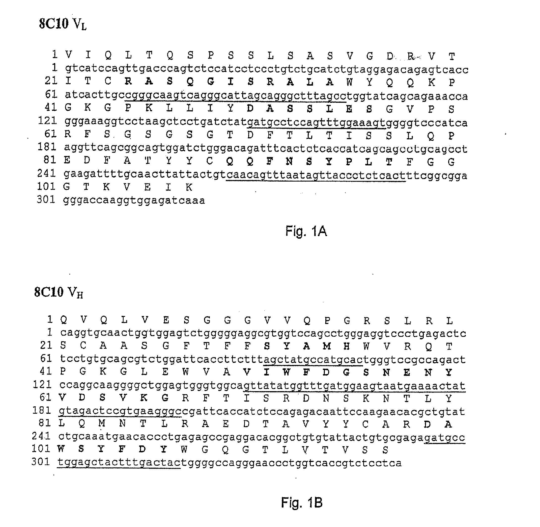 Fully human Anti-vap-1 monoclonal antibodies