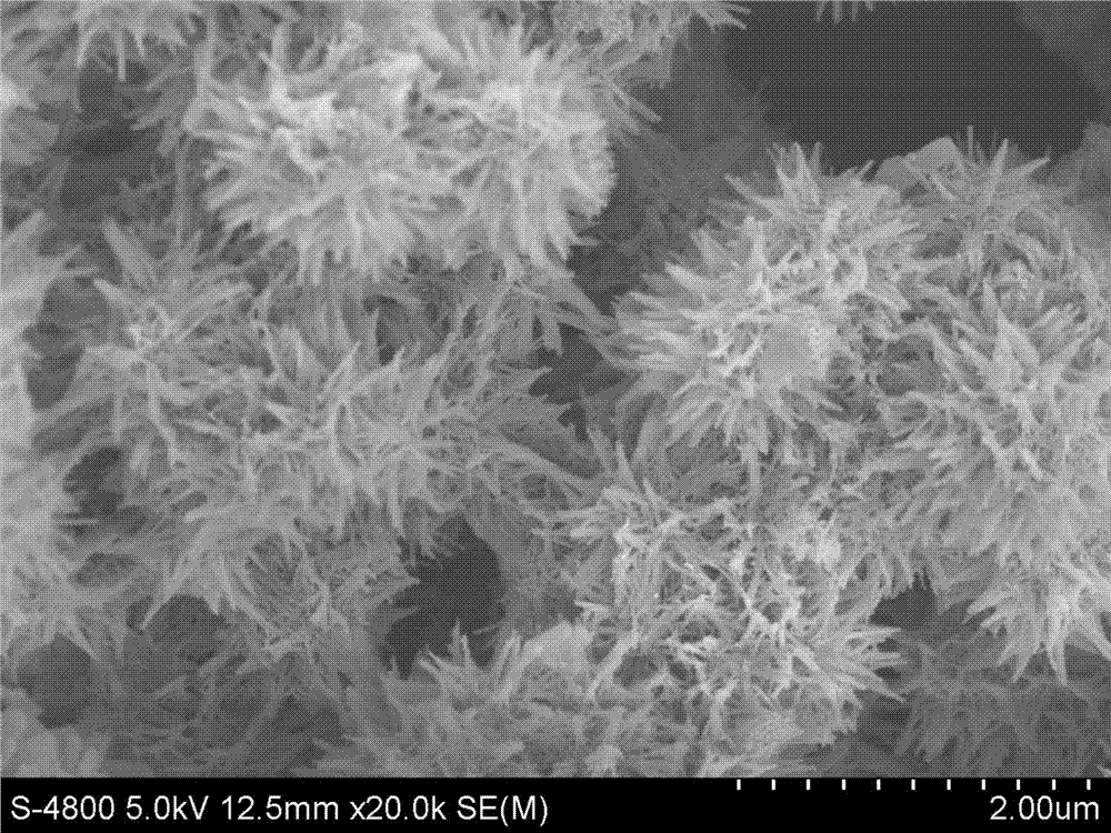 Sea-urchin-shaped iron/manganese binary-nanometer cadmium (Cd) elimination material and preparation method thereof