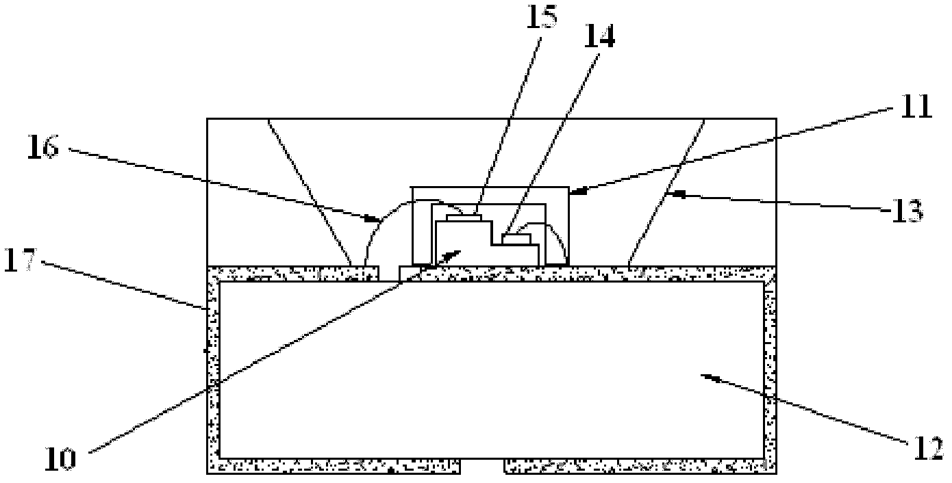 White light LED luminescence apparatus