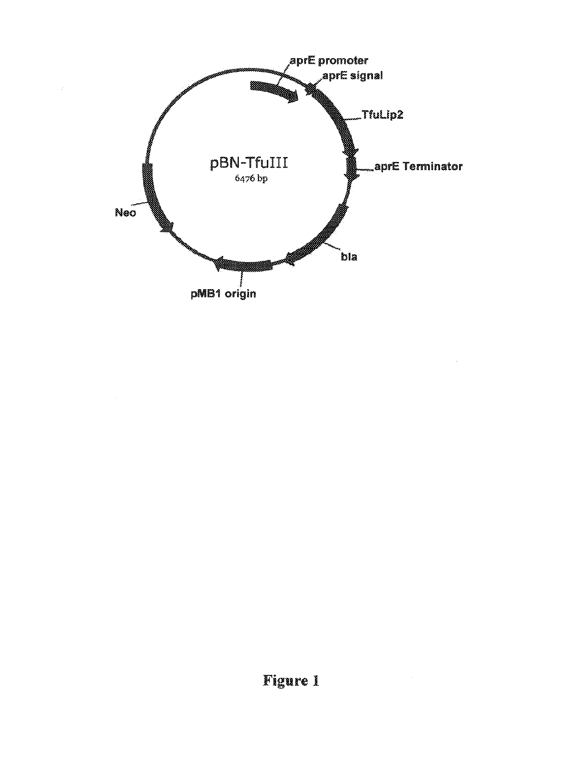 Compositions and Methods Comprising a Lipolytic Enzyme Variant